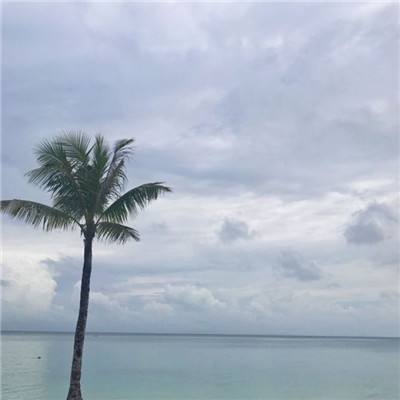 时空乱斗果盘版下载