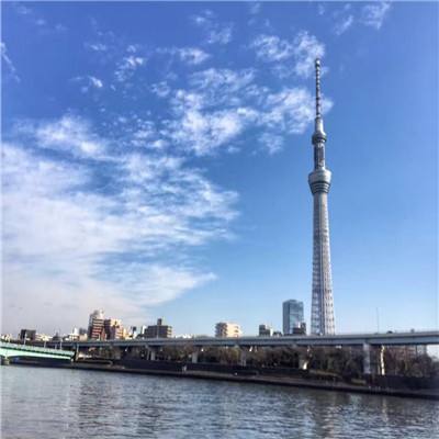 武器之王变态版下载